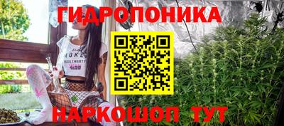 мяу мяу мука Кандалакша